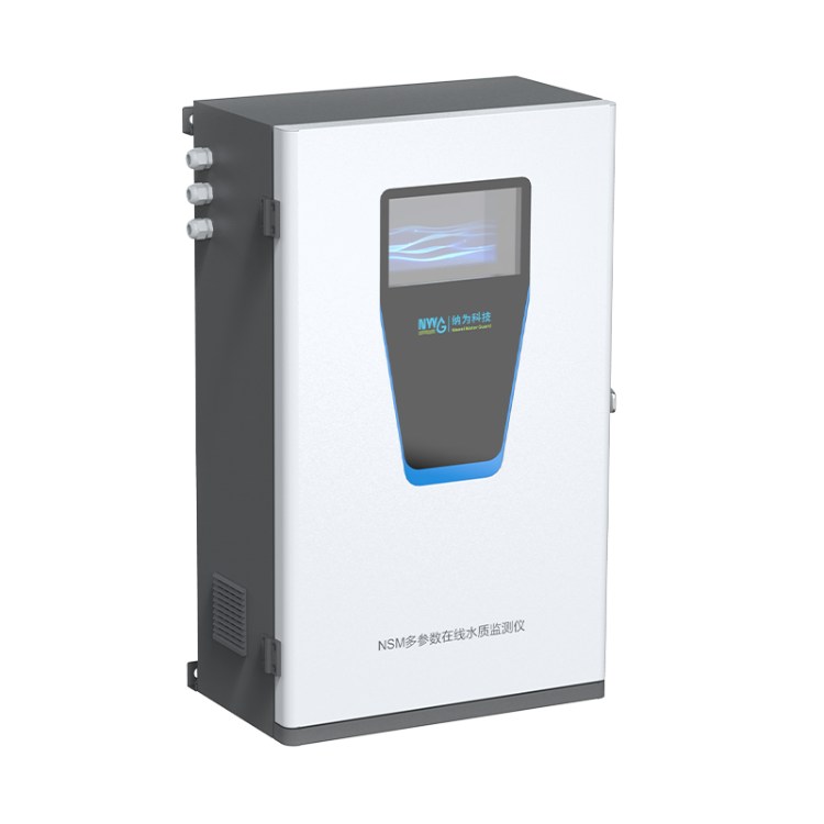NSM系列多參數(shù)水質(zhì)在線監(jiān)測儀（壁掛式）